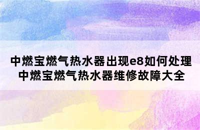 中燃宝燃气热水器出现e8如何处理 中燃宝燃气热水器维修故障大全